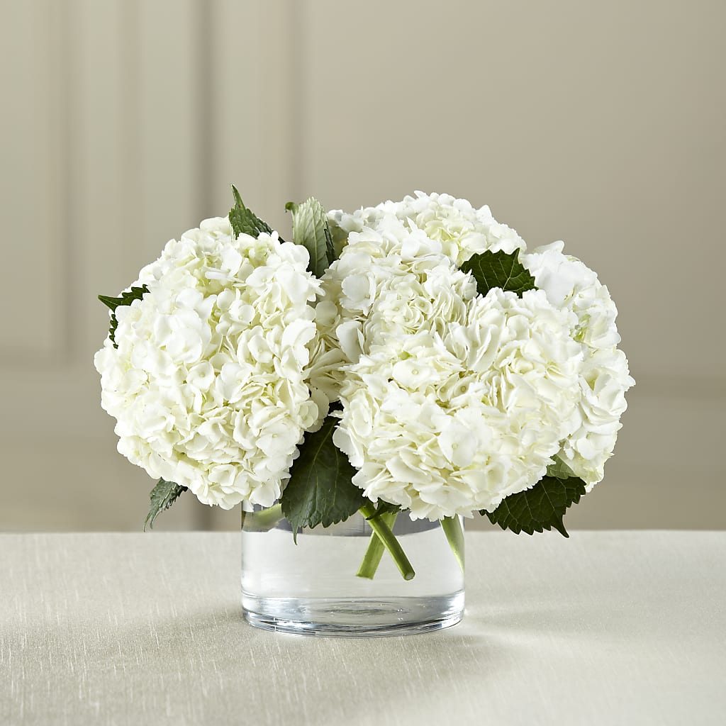 White Hydrangea Bouquet –  Usa Flowershop Llc, Pompano Beach FL