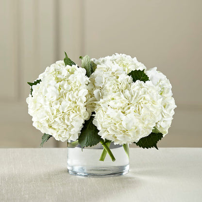 White Hydrangea Bouquet –  Usa Flowershop Llc, Pompano Beach FL